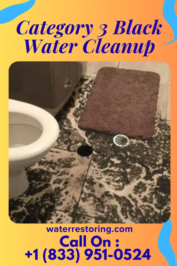 Category 3 Black Water Cleanup in Wolbach, NE
