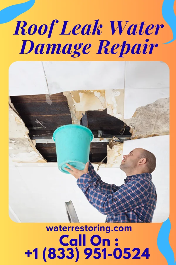 Roof Leak Water Damage Repair in Wolbach, NE