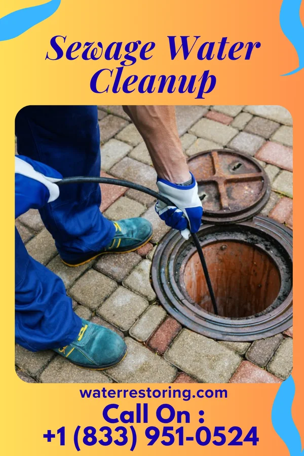 Sewage Water Cleanup in Wolbach, NE